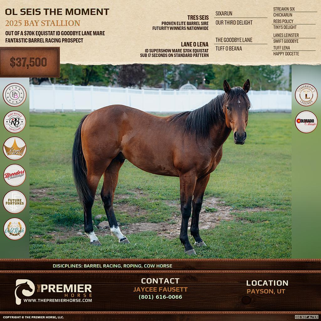 Listing advertisement