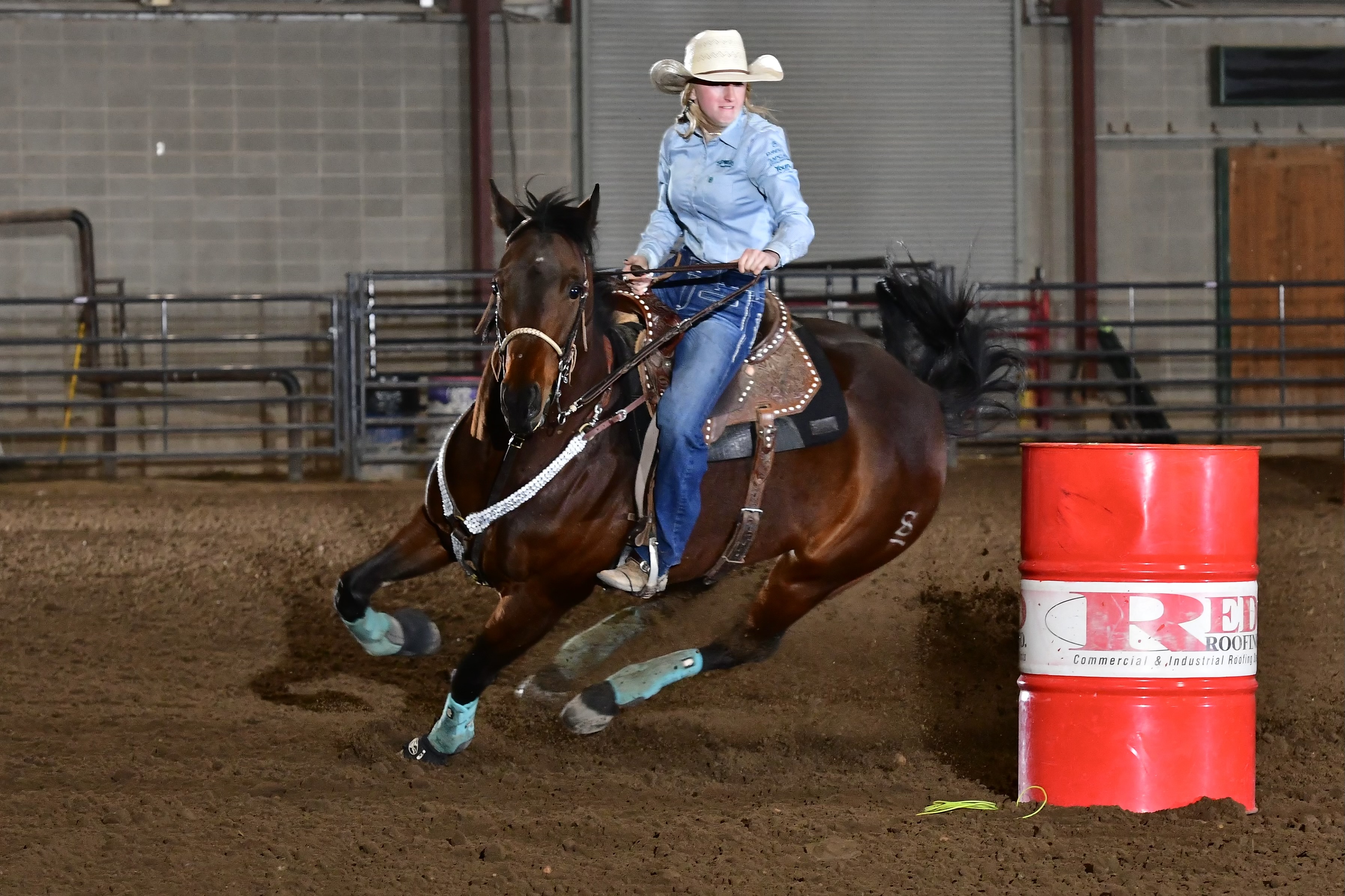 L#3287 Sdc Jesst Up A Creek - 2018 Bay Mare (Conn Creek x Ready Ta ...