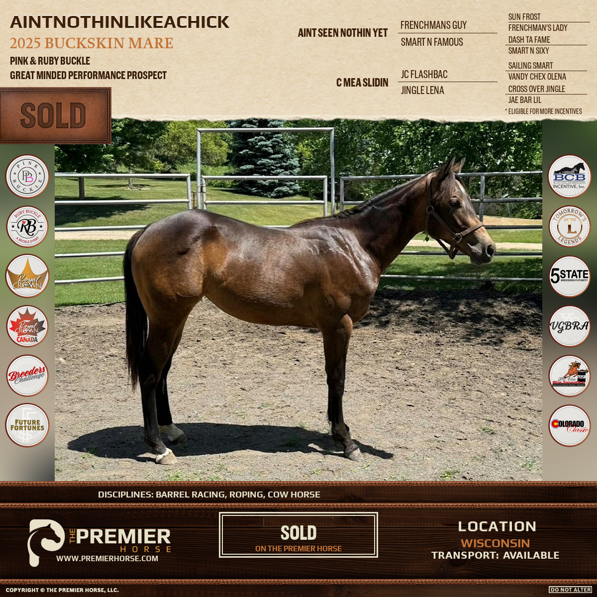 Aintnothinlikeachick sold advertisement