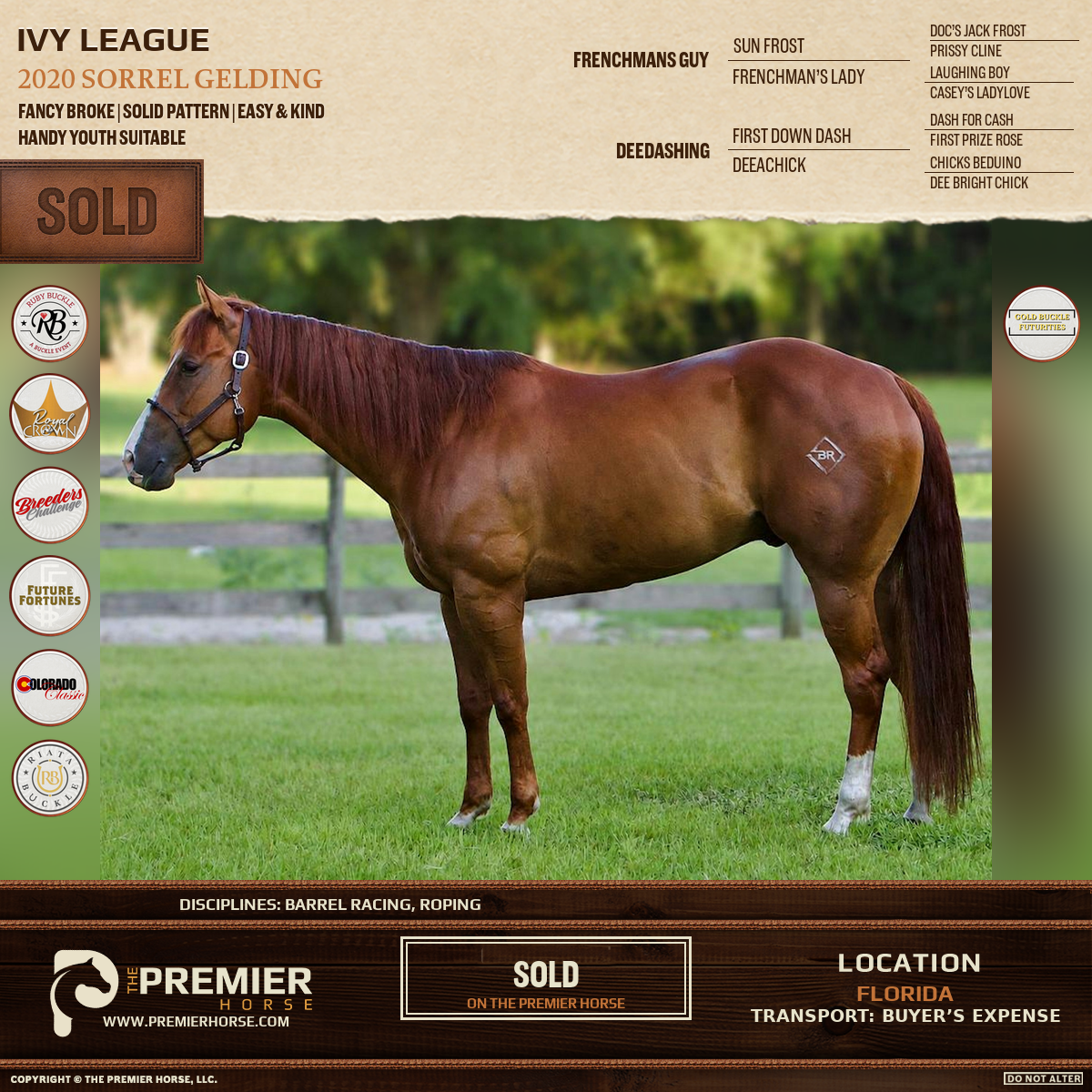 Ivy League sold advertisement
