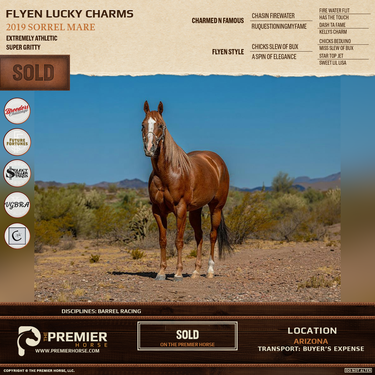 Flyen Lucky Charms sold advertisement