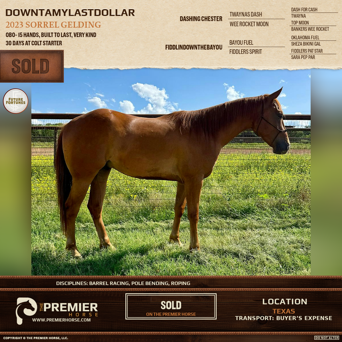 Downtamylastdollar sold advertisement