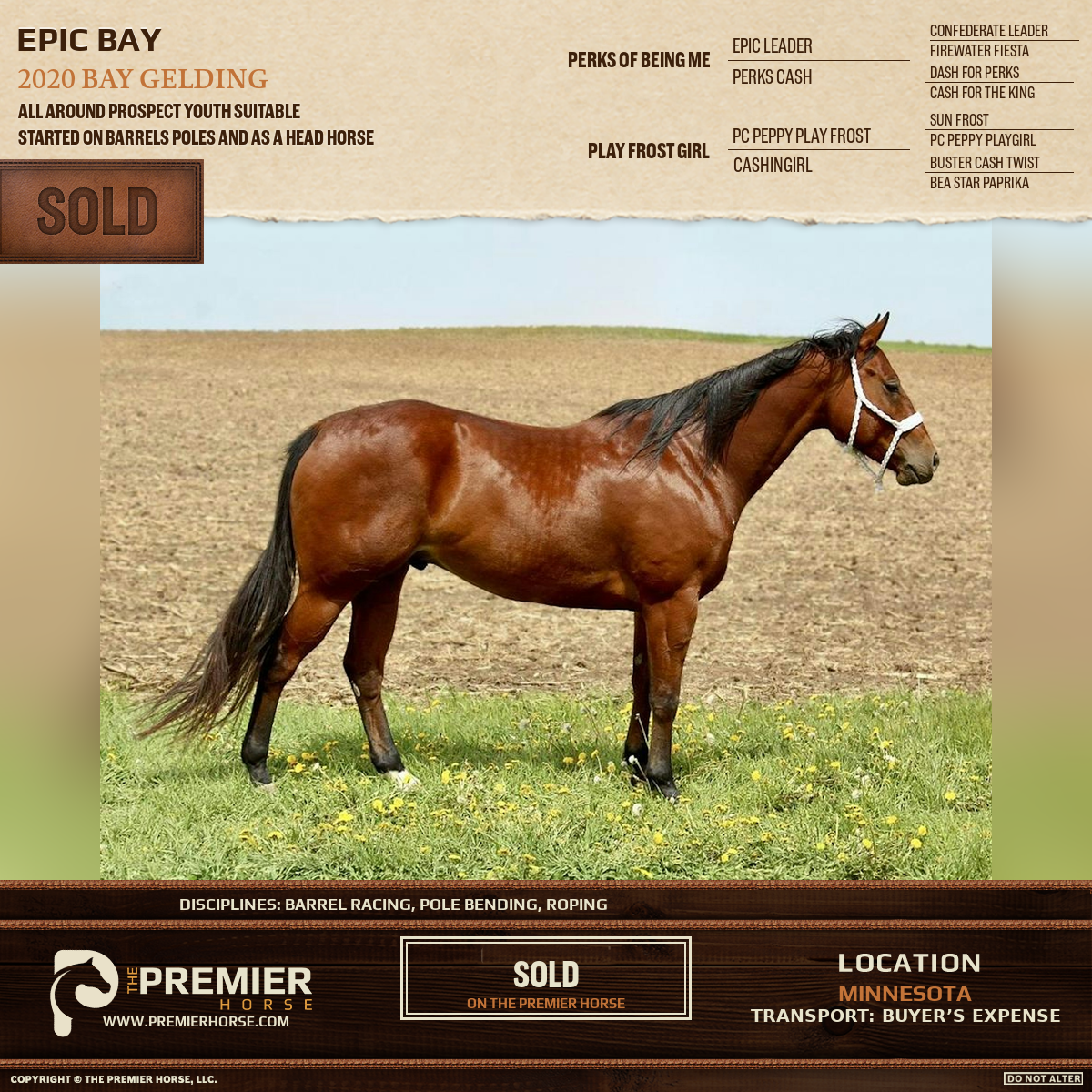Epic Bay sold advertisement
