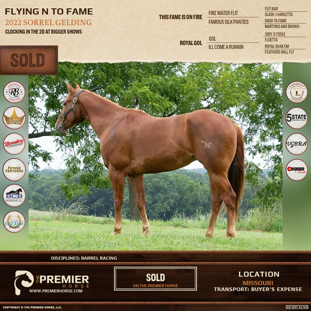 Flying N To Fame sold advertisement