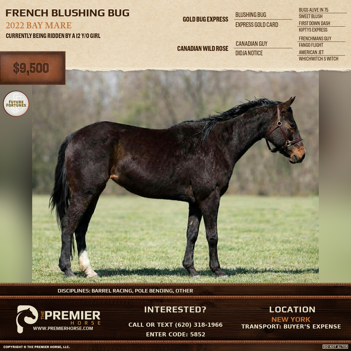 Listing advertisement