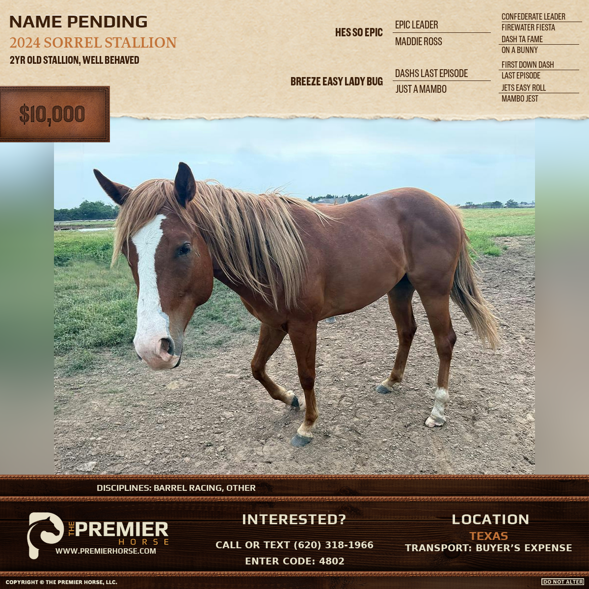 Listing advertisement