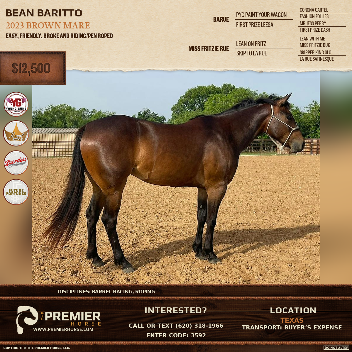 Listing advertisement