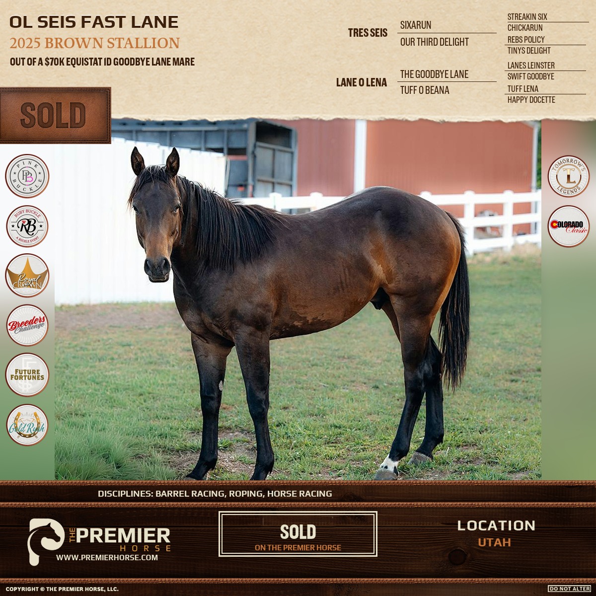 Ol Seis Fast Lane sold advertisement