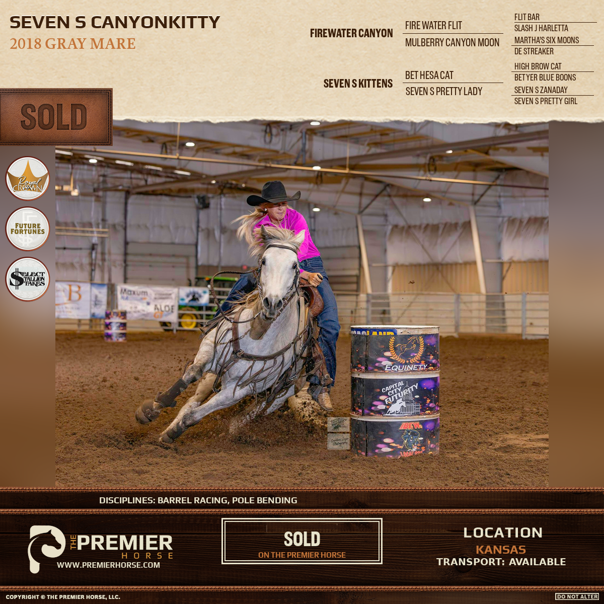 Seven S Canyonkitty sold advertisement