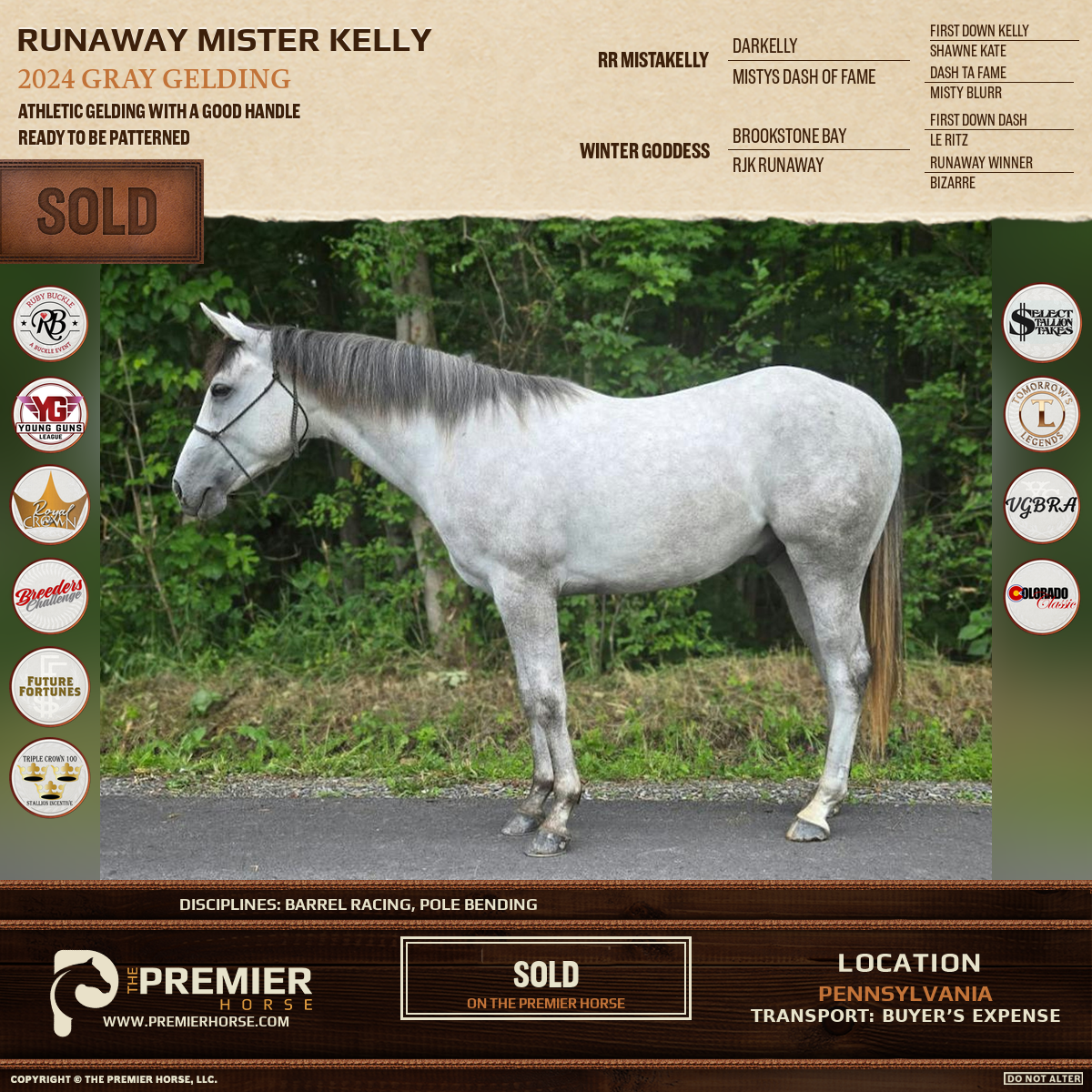 Runaway Mister Kelly sold advertisement