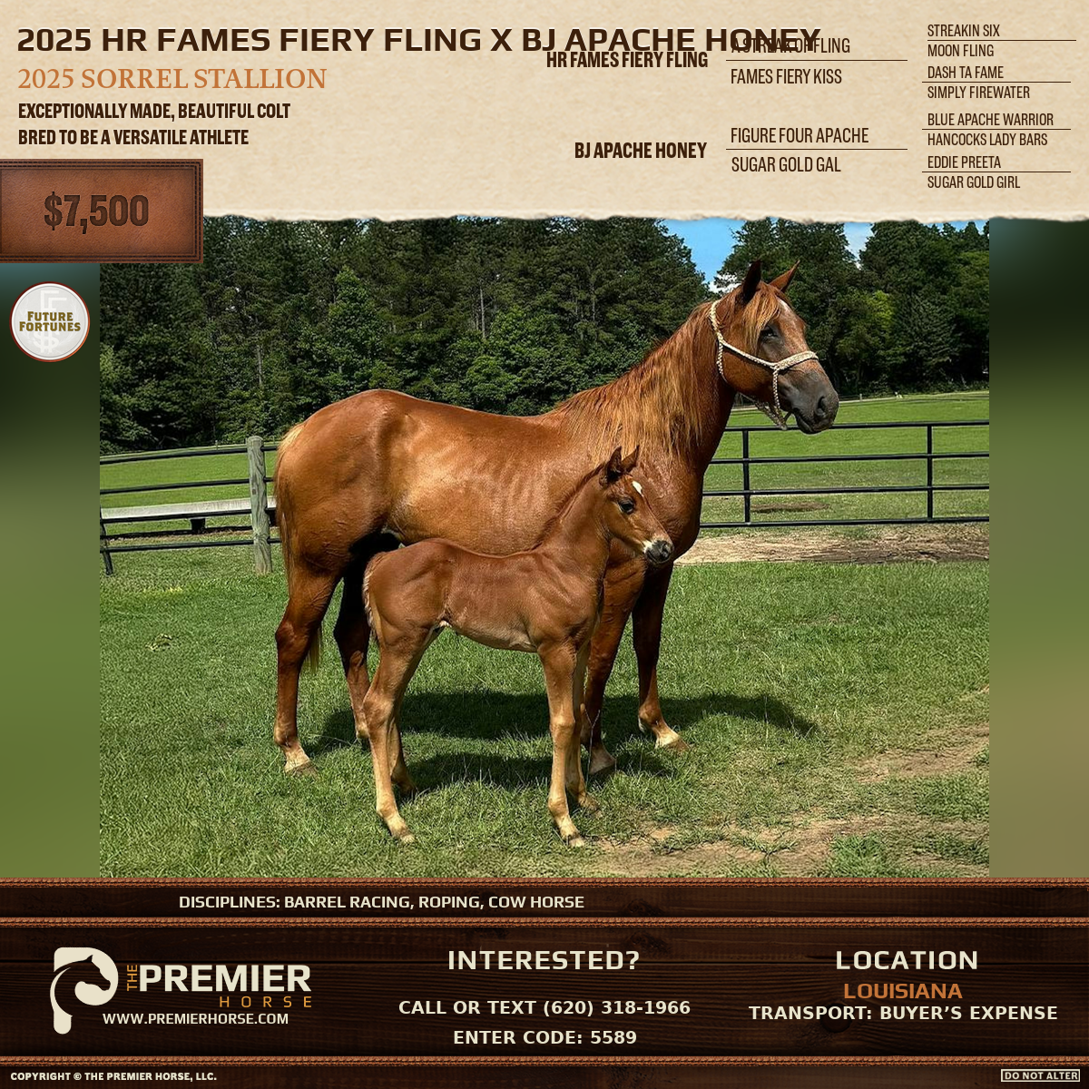 Listing advertisement