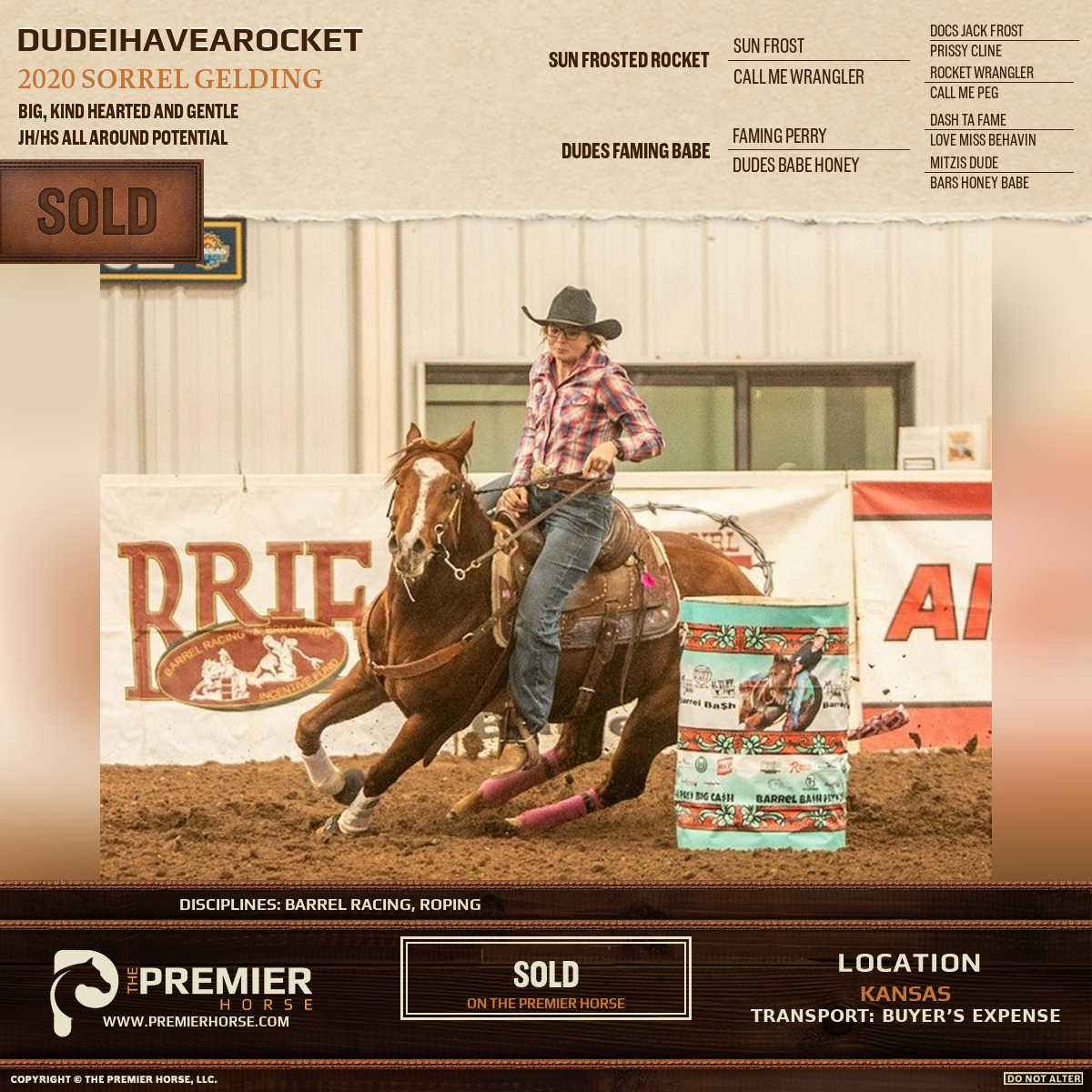 Dudeihavearocket sold advertisement