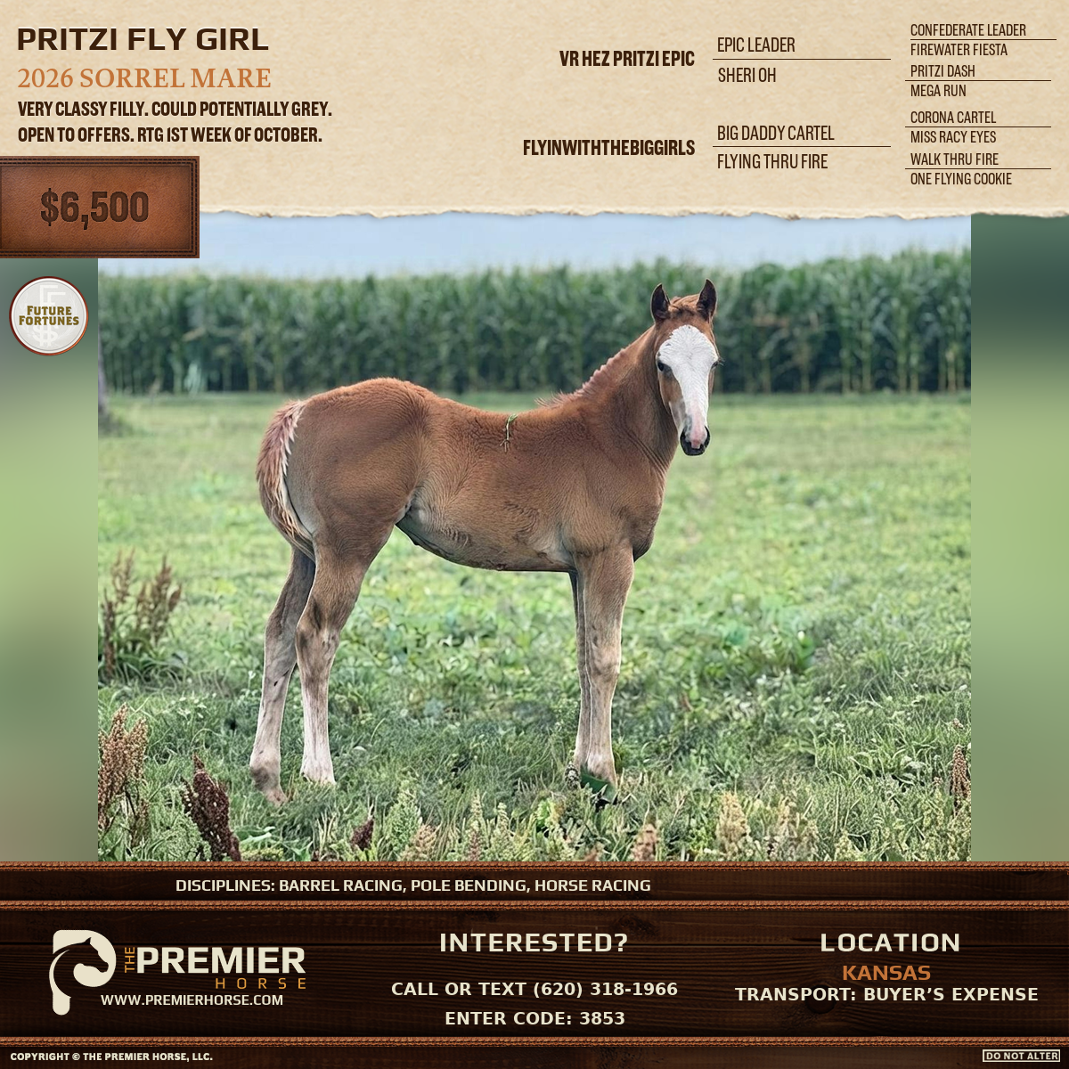 Listing advertisement