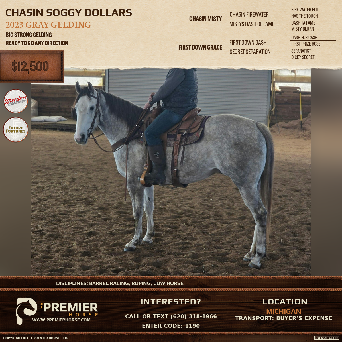 Listing advertisement