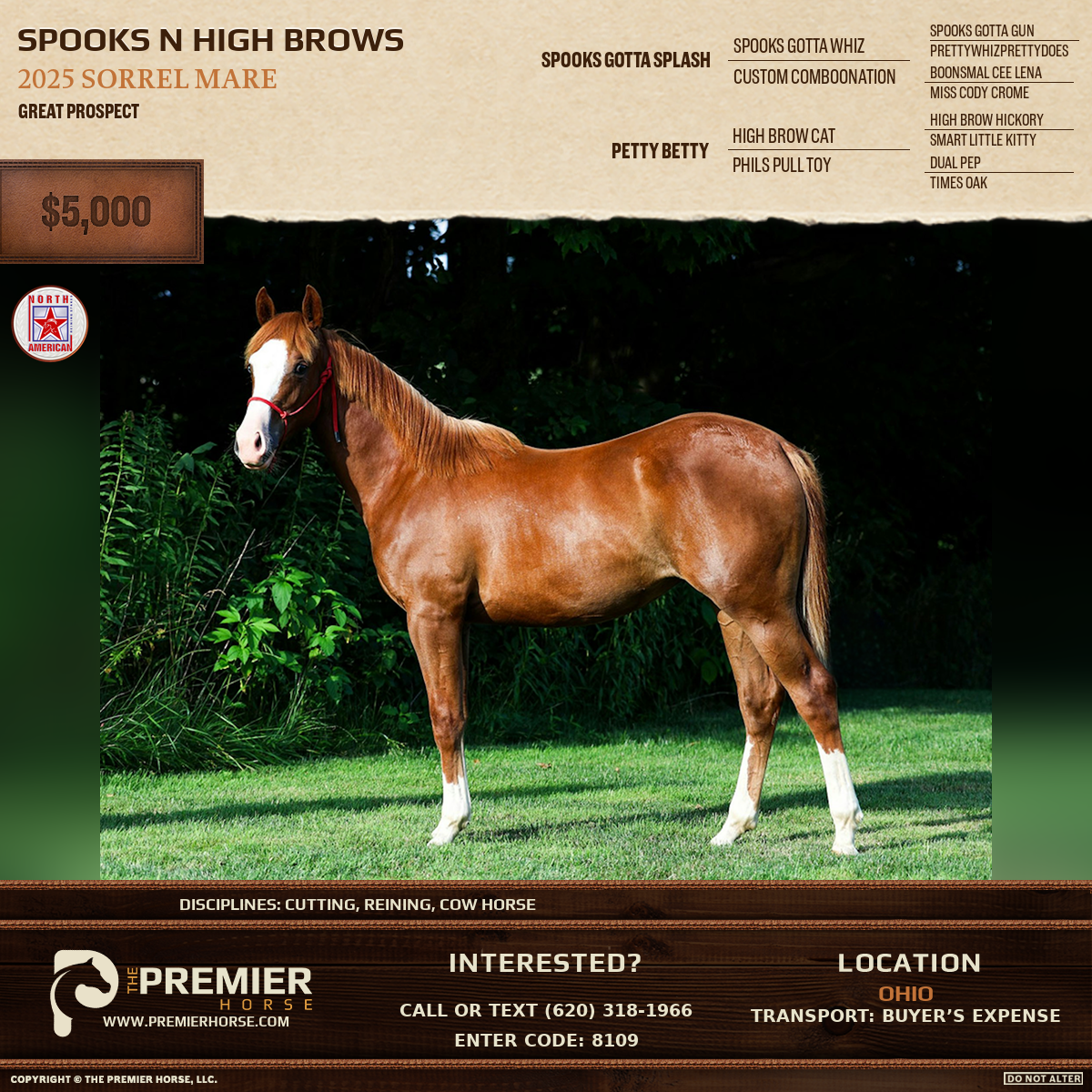 Listing advertisement