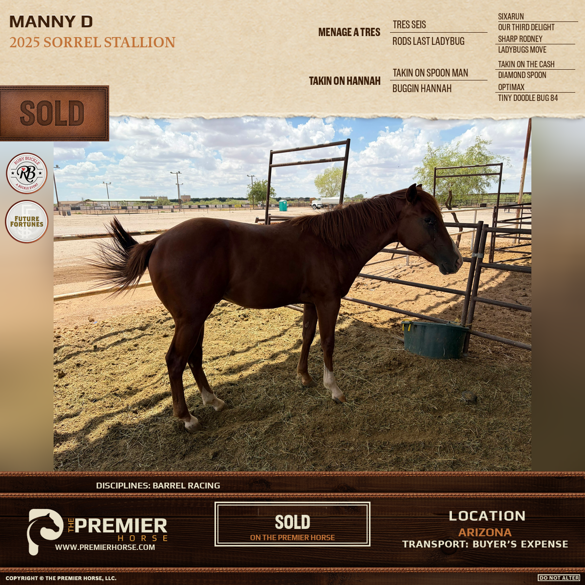Manny D sold advertisement