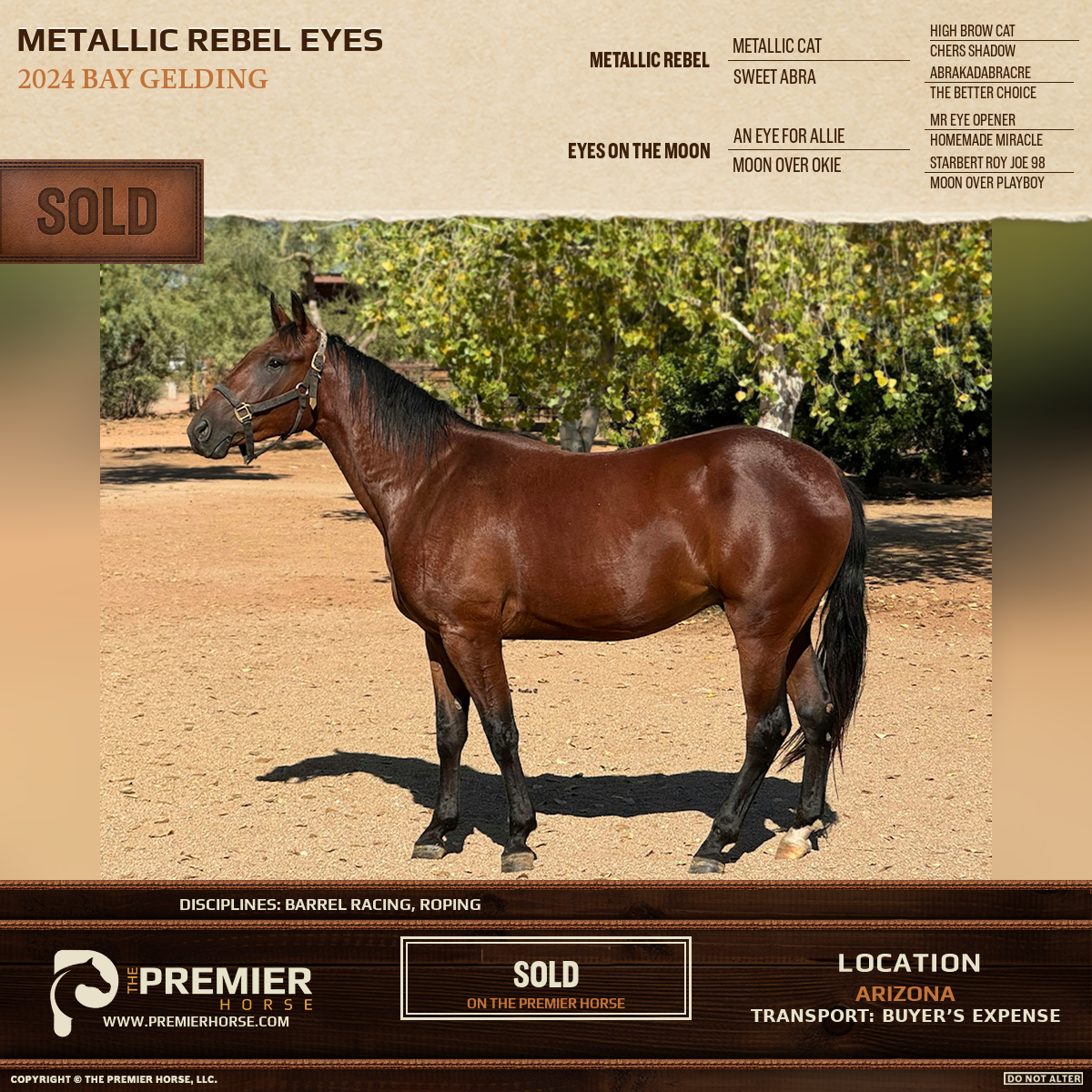 Metallic Rebel Eyes sold advertisement