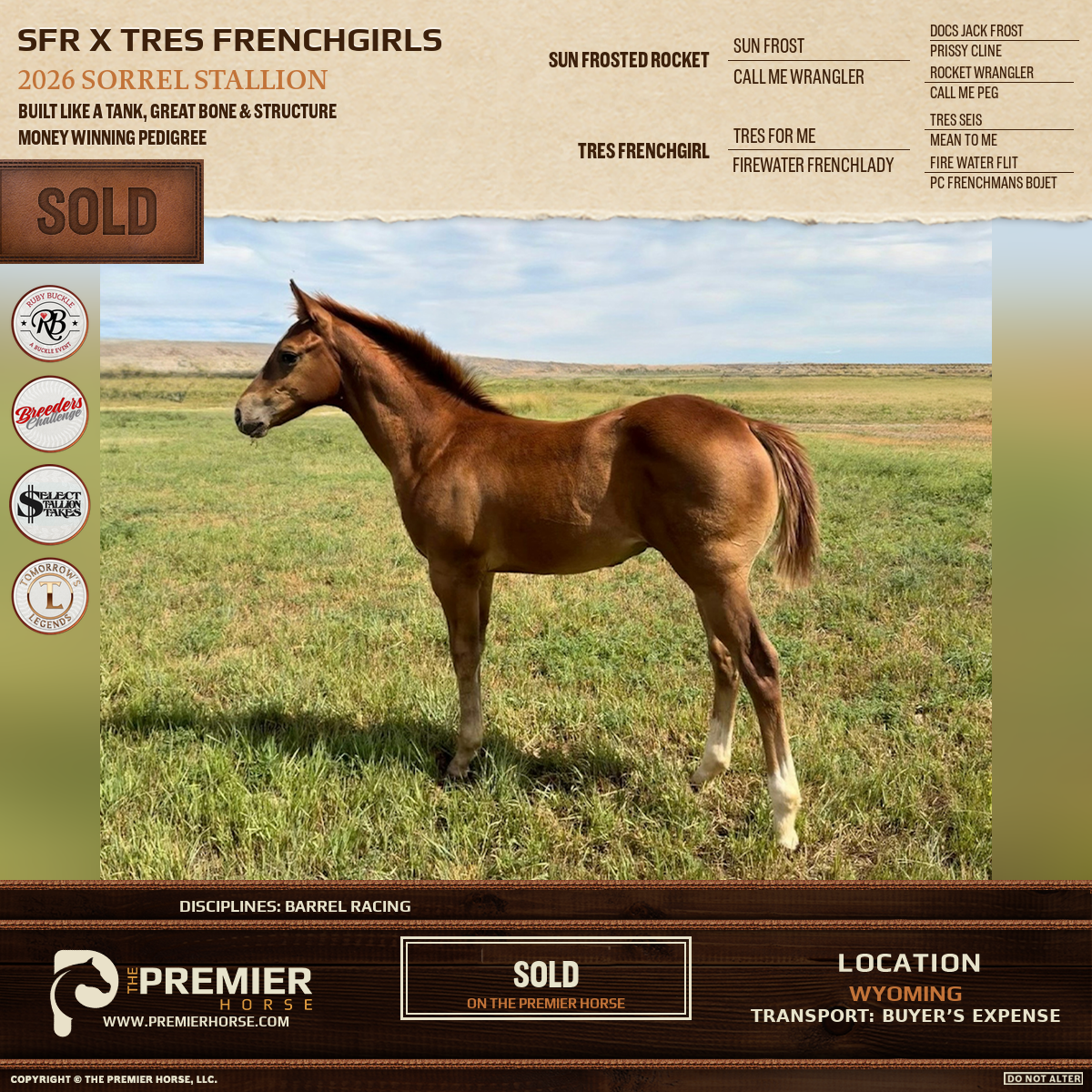 SFR X TRES FRENCHGIRLS sold advertisement