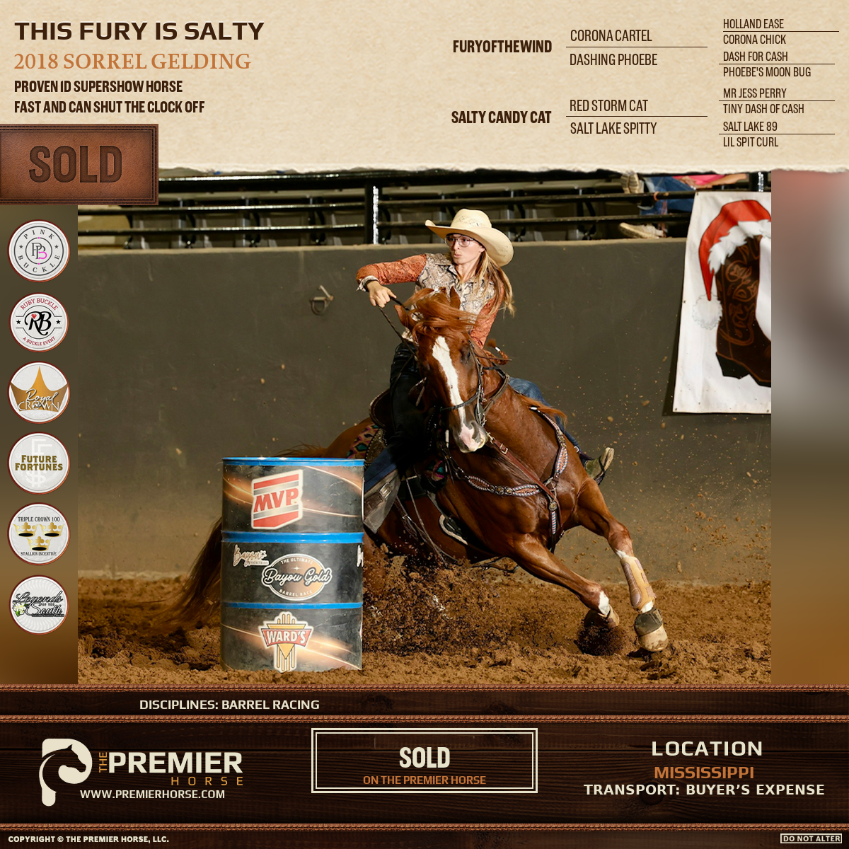 This Fury Is Salty sold advertisement