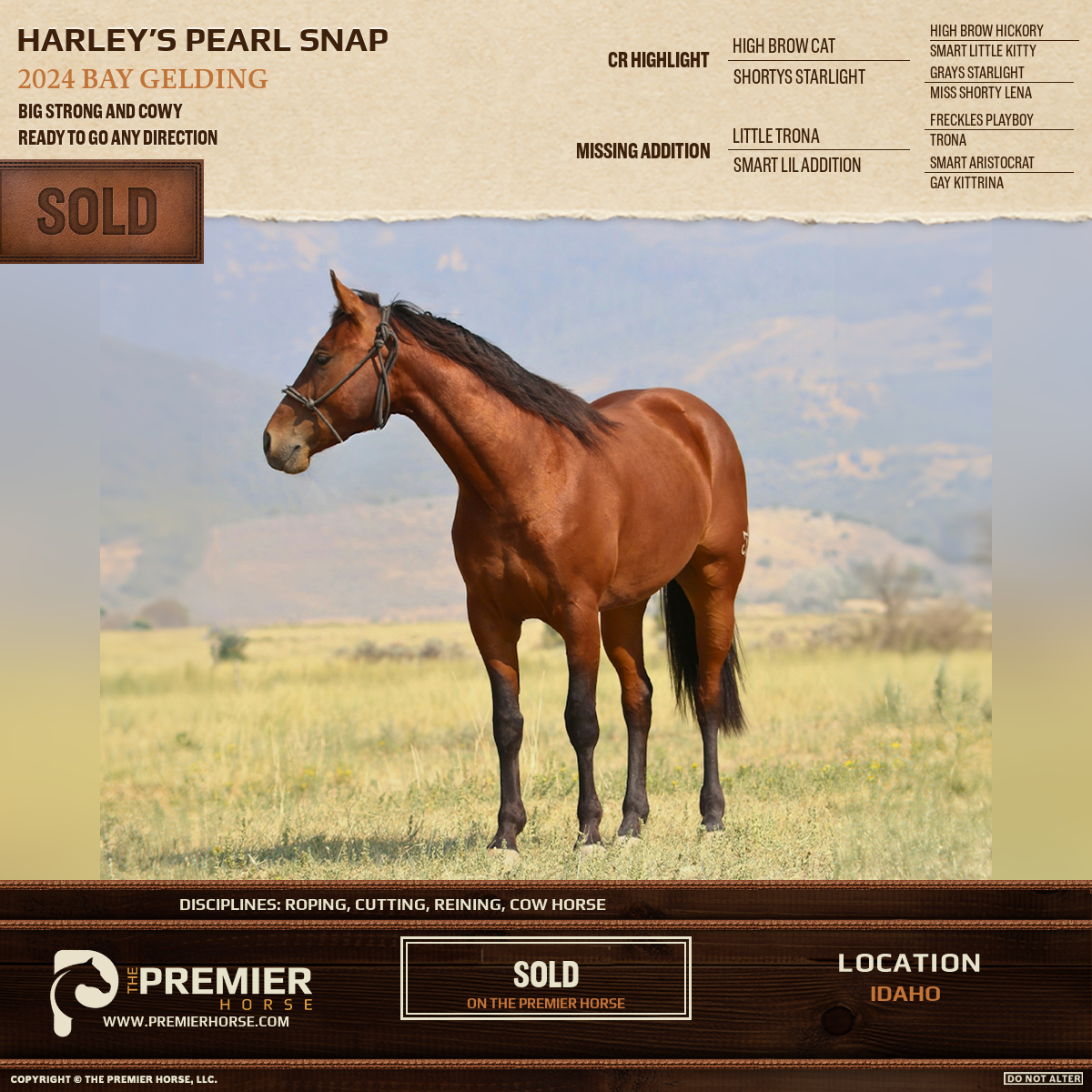 Harley’s Pearl Snap sold advertisement