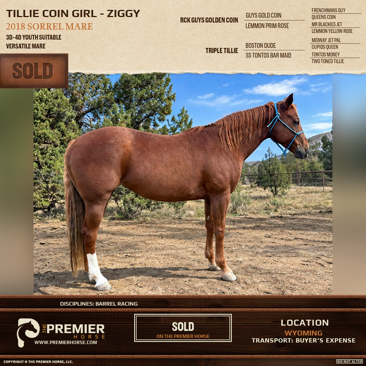 Tillie Coin Girl - Ziggy sold advertisement