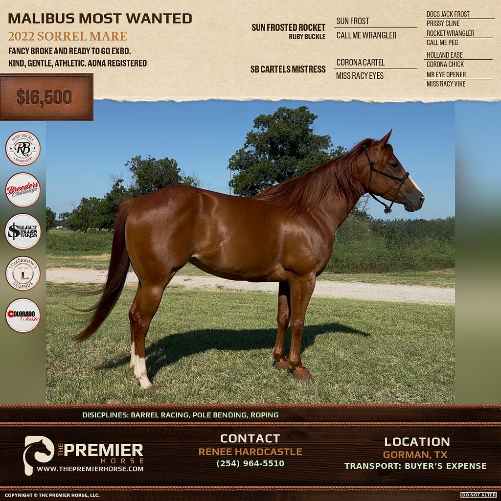 Listing advertisement