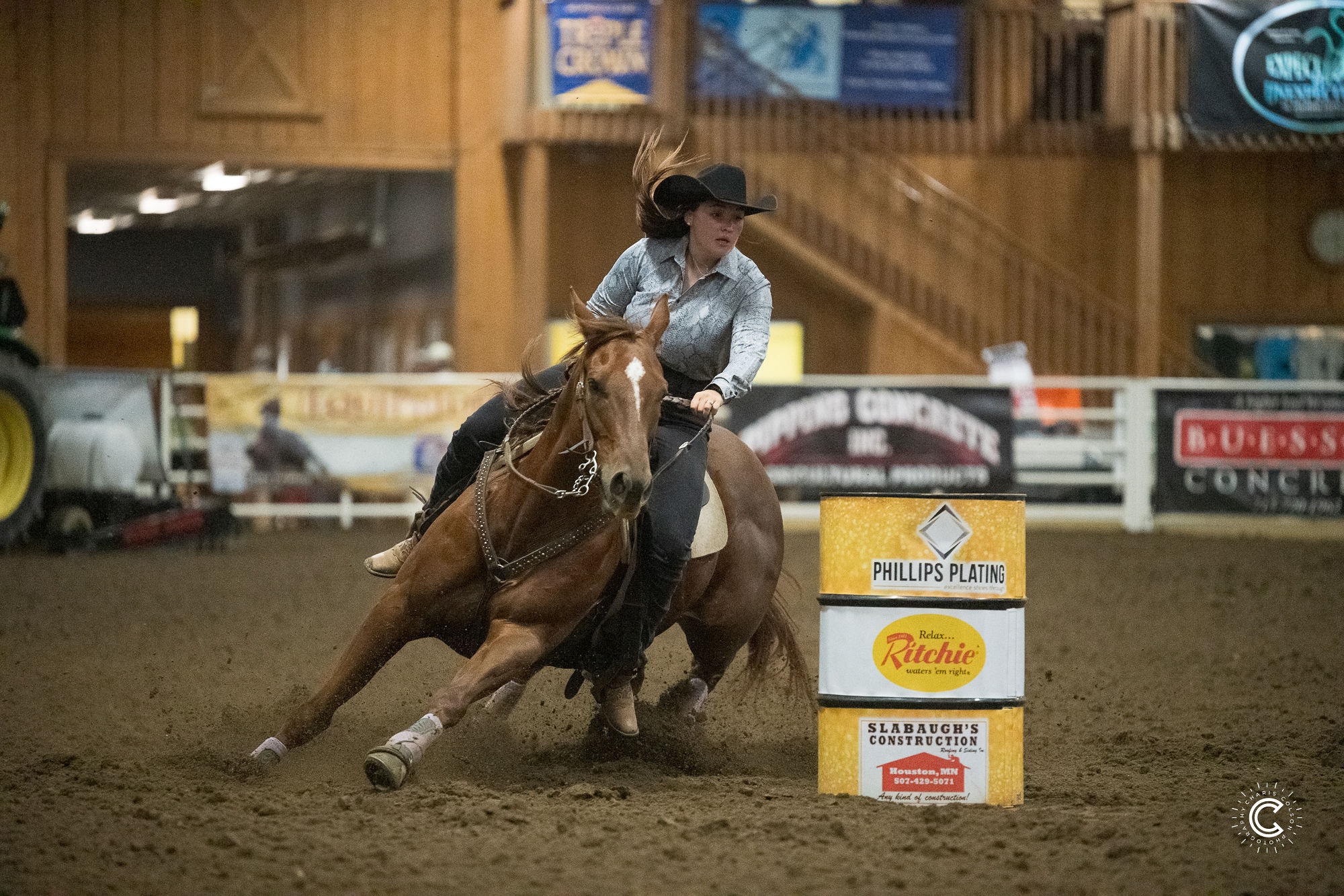 L#6318 Passum Nachos - 2018 Chestnut Mare (More Nachos x Inclinda ...
